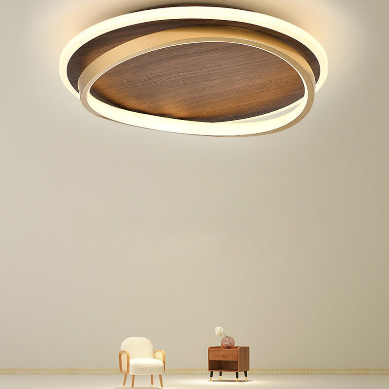 LED Modern Ceiling Lamp