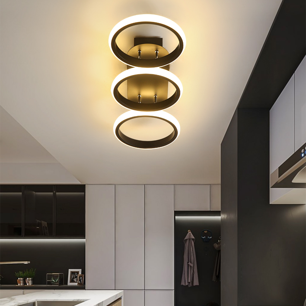 Modern LED Ceiling Light