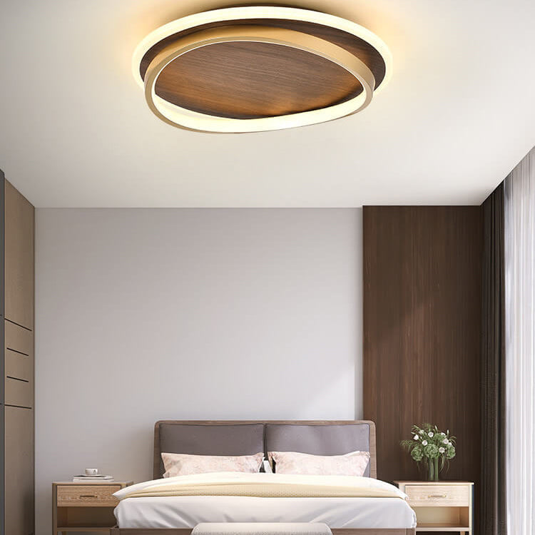 LED Modern Ceiling Lamp