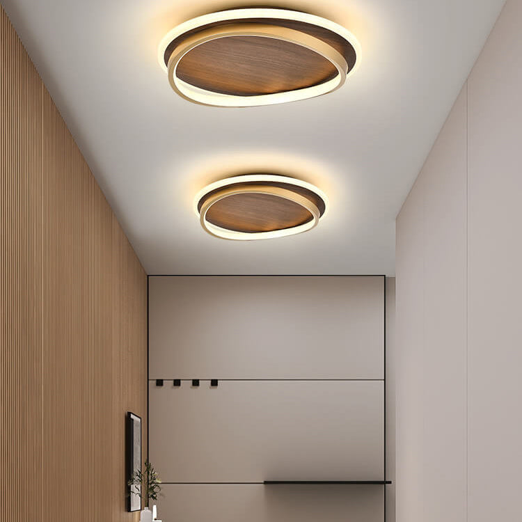 LED Modern Ceiling Lamp