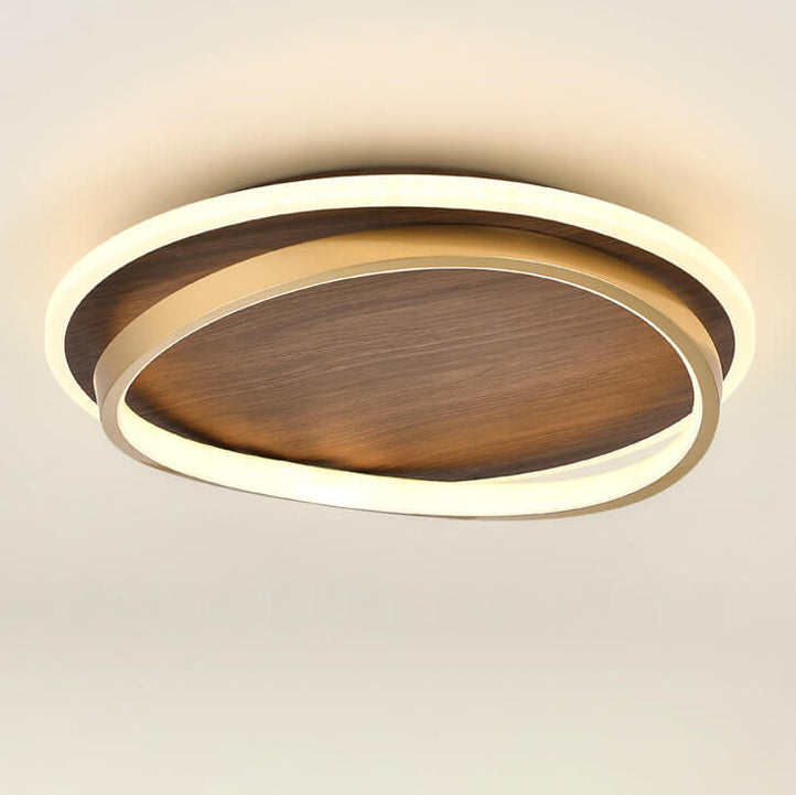 LED Modern Ceiling Lamp