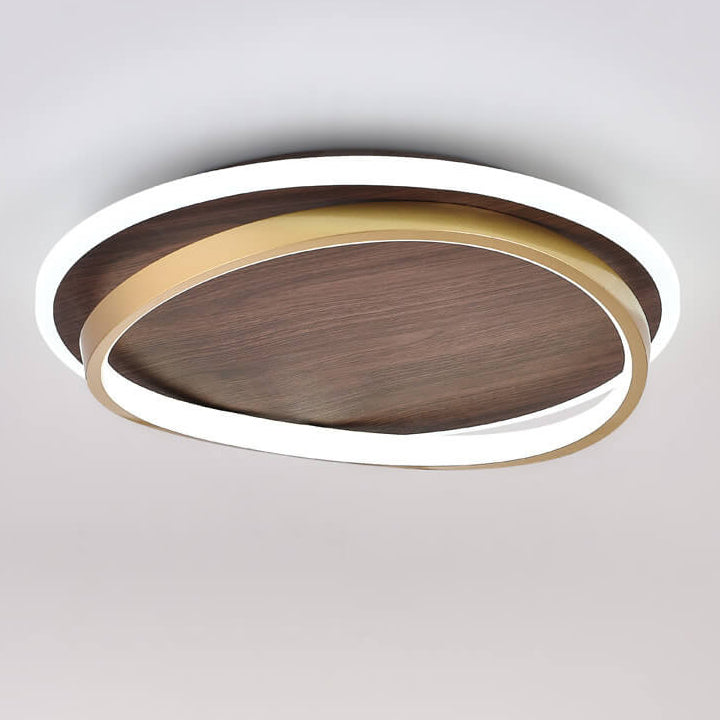 LED Modern Ceiling Lamp