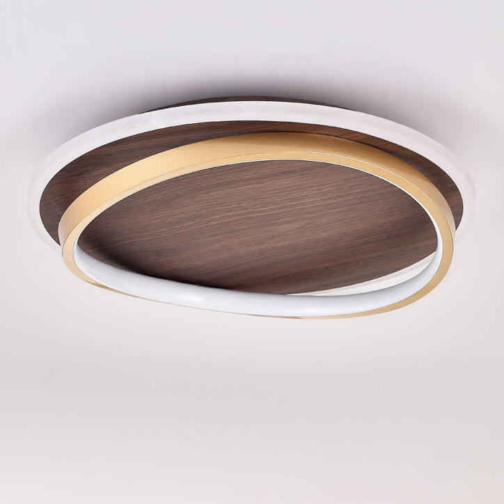 LED Modern Ceiling Lamp