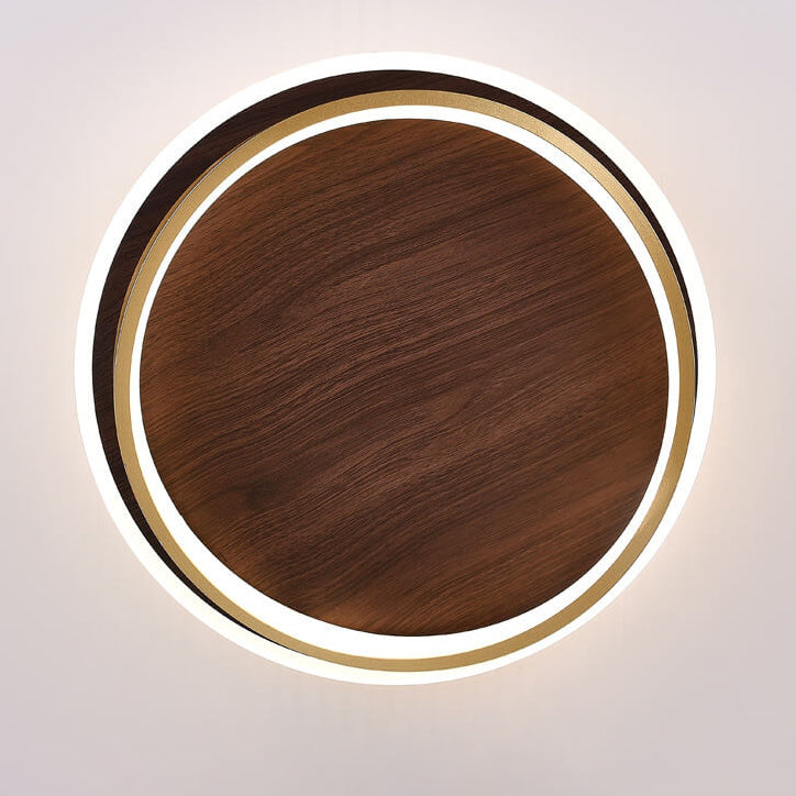 LED Modern Ceiling Lamp