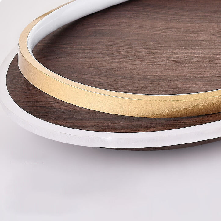 LED Modern Ceiling Lamp