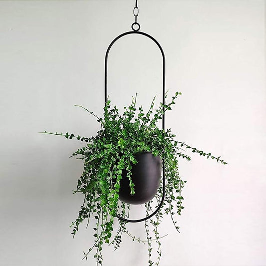 FloraFrame Hanging Planter