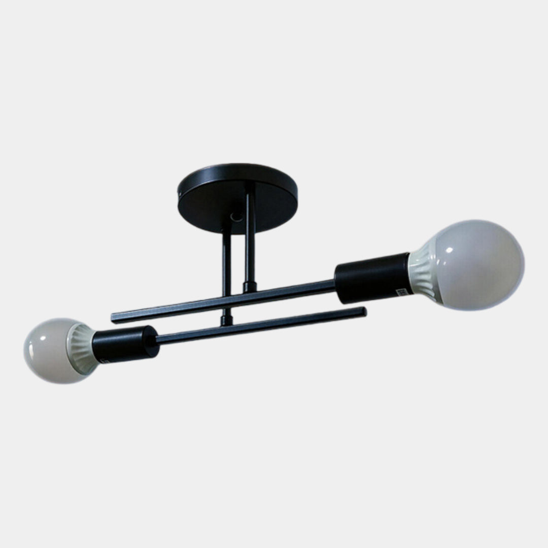 Modern 2-Light Ceiling Lamp