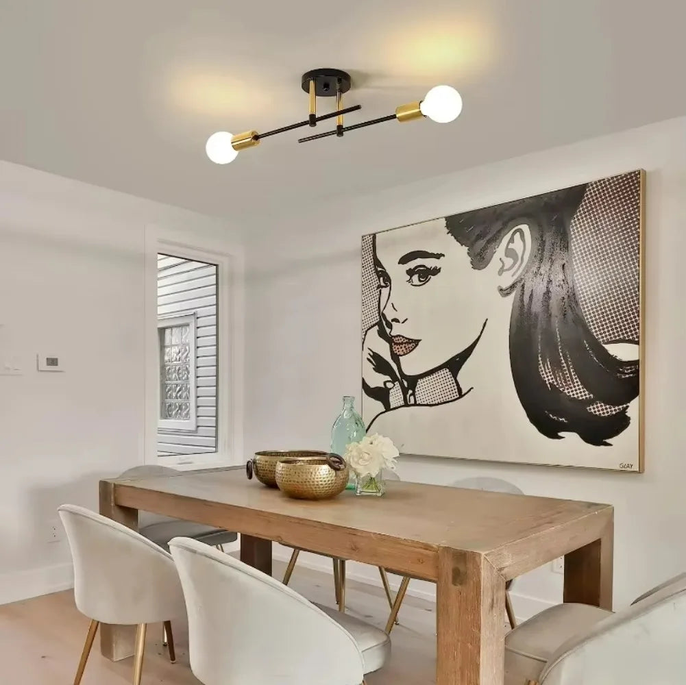Modern 2-Light Ceiling Lamp