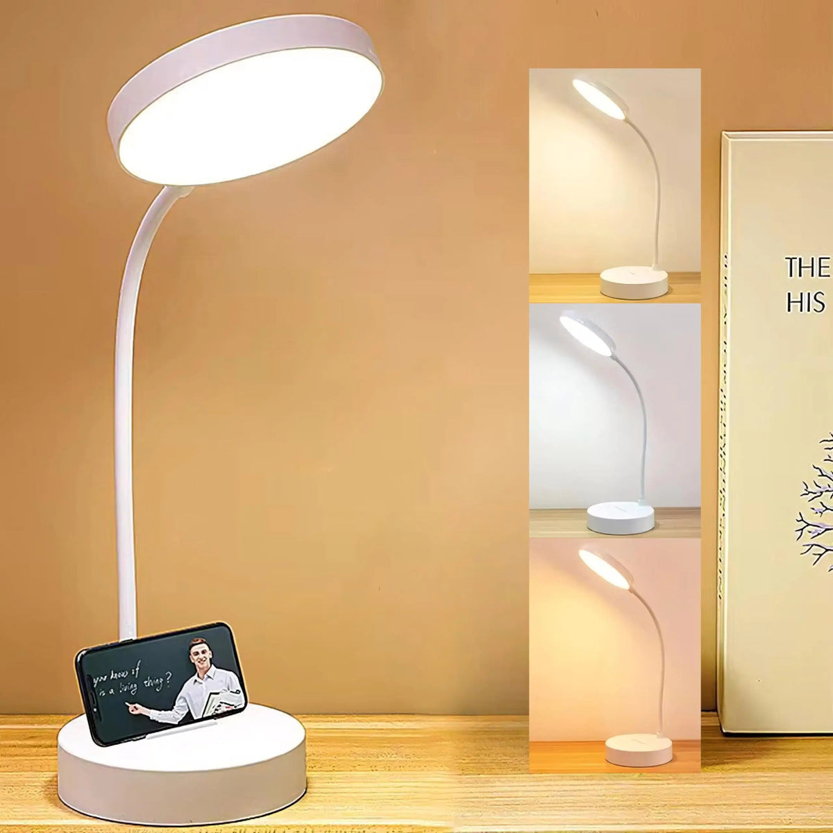 LED Desk Lamp with USB Charging
