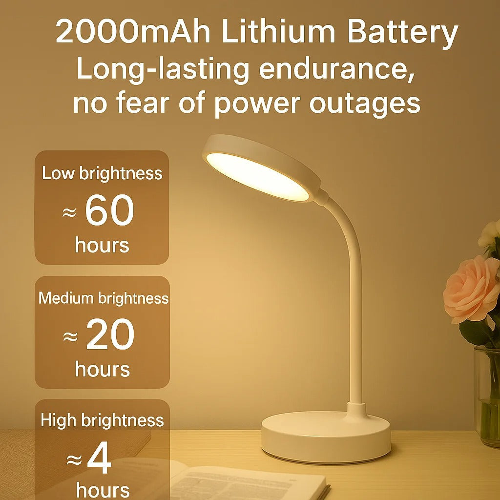 LED Desk Lamp with USB Charging