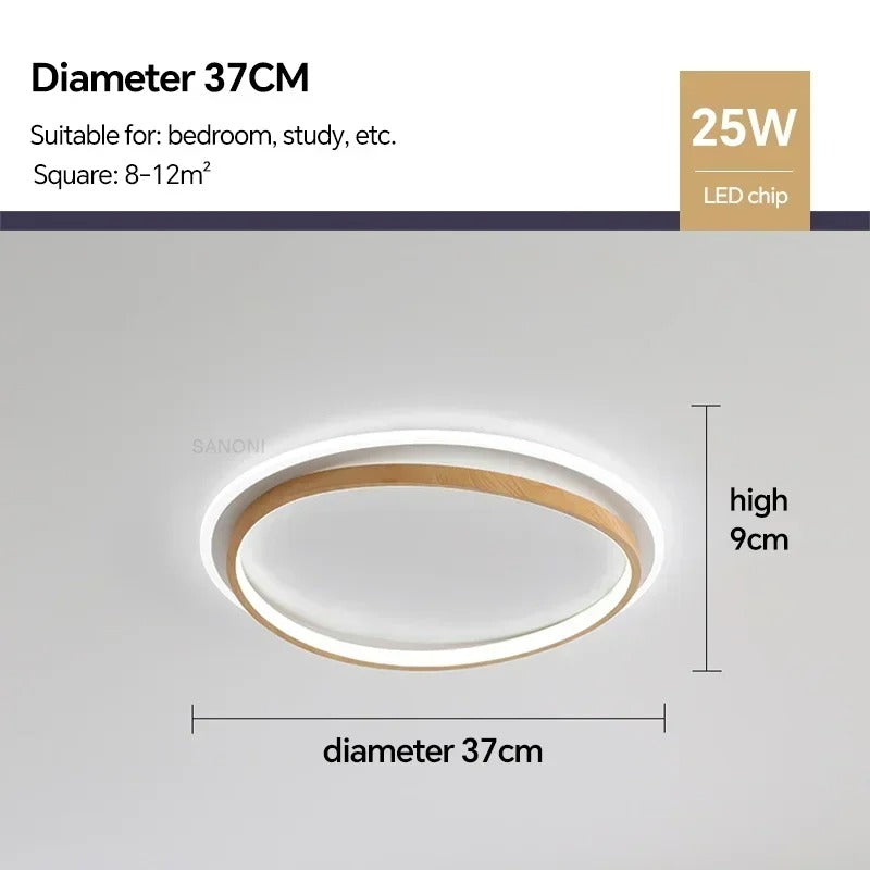 LED Modern Ceiling Lamp