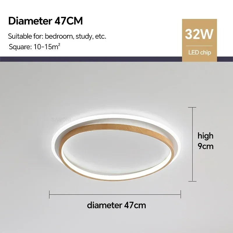 LED Modern Ceiling Lamp