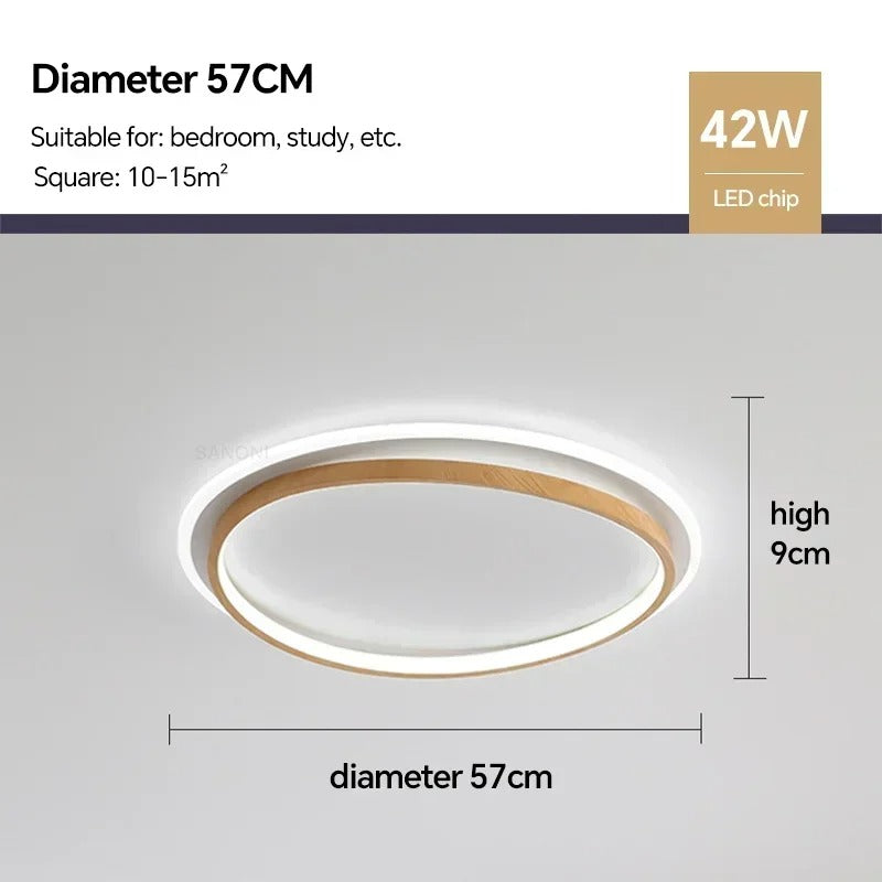 LED Modern Ceiling Lamp