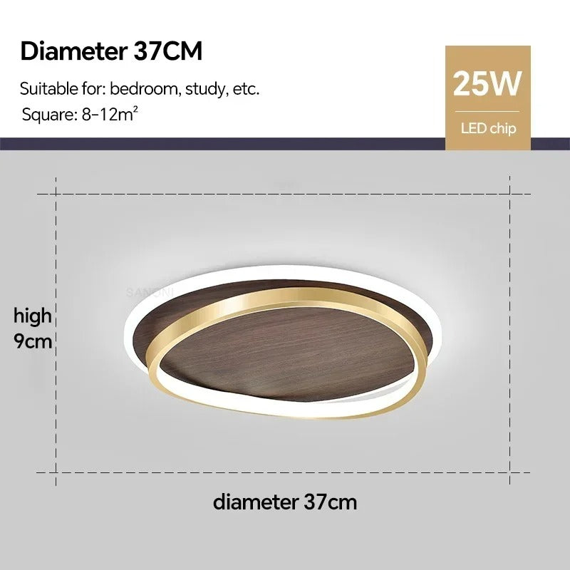 LED Modern Ceiling Lamp