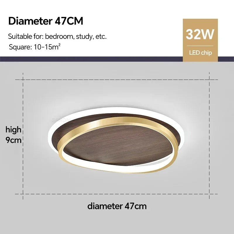 LED Modern Ceiling Lamp