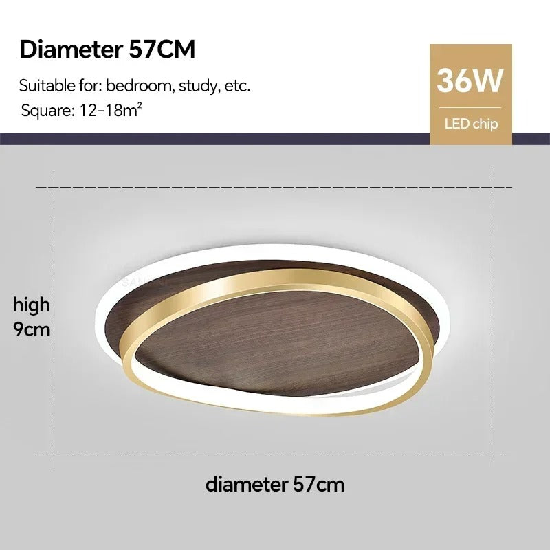 LED Modern Ceiling Lamp